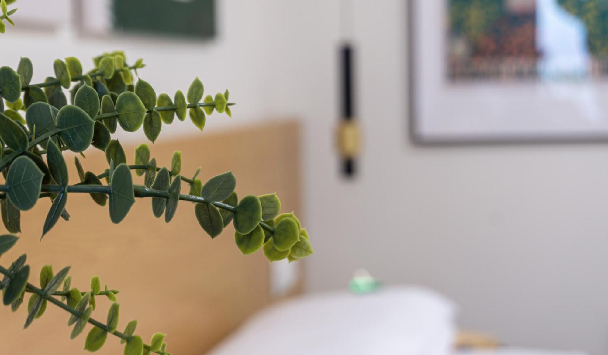 Osito Hub - Duque De Gaeta Apartman Valencia Kültér fotó